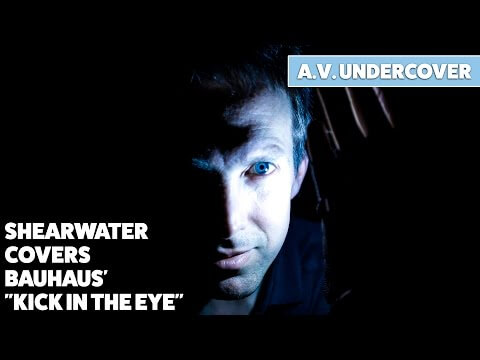 Shearwater covers Bauhaus' 