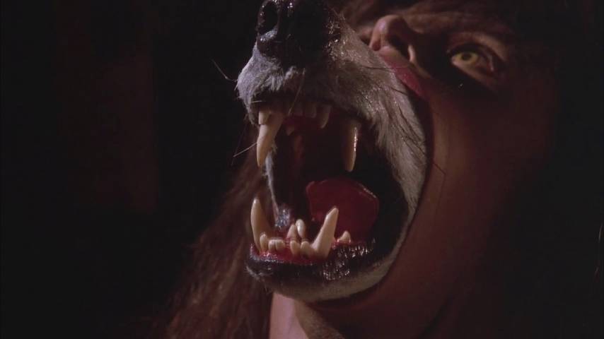 10 under-the-radar werewolf films worth howling about