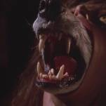 10 under-the-radar werewolf films worth howling about