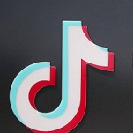 TikTok now pivoting to books